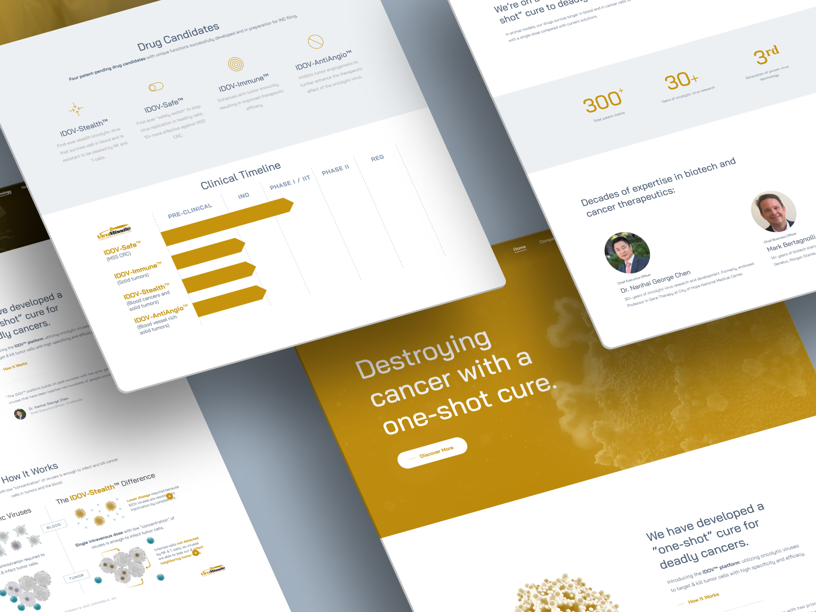 Website + Deck Design for Cancer Tech Startup ViroMissile